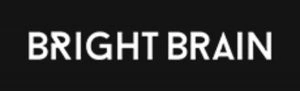 Top 11 Digital Marketing Companies In Pune Bright brain