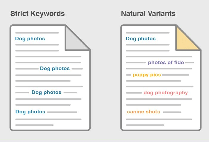 Seo In 2026: Beyond Keywords And Rankings Keyword proximity