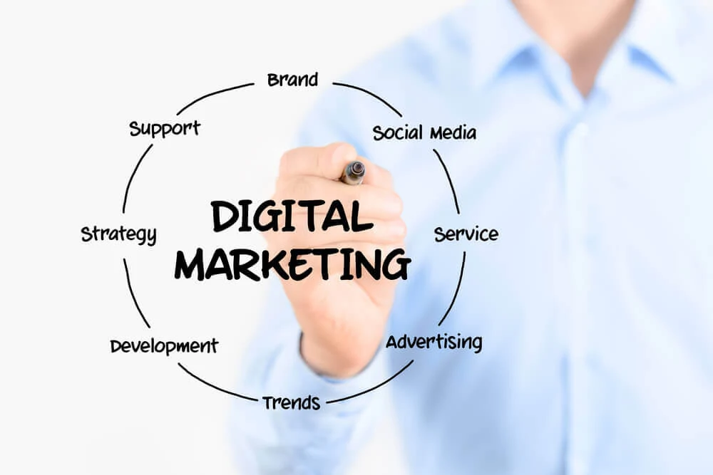 Become A Digital Marketing Executive In 2026: Skills, Salary &Amp; Job Description Duties of digital marketing executive
