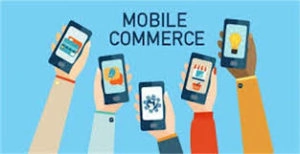 Beginner'S Guide To Mobile Commerce Usage of mobile commerce