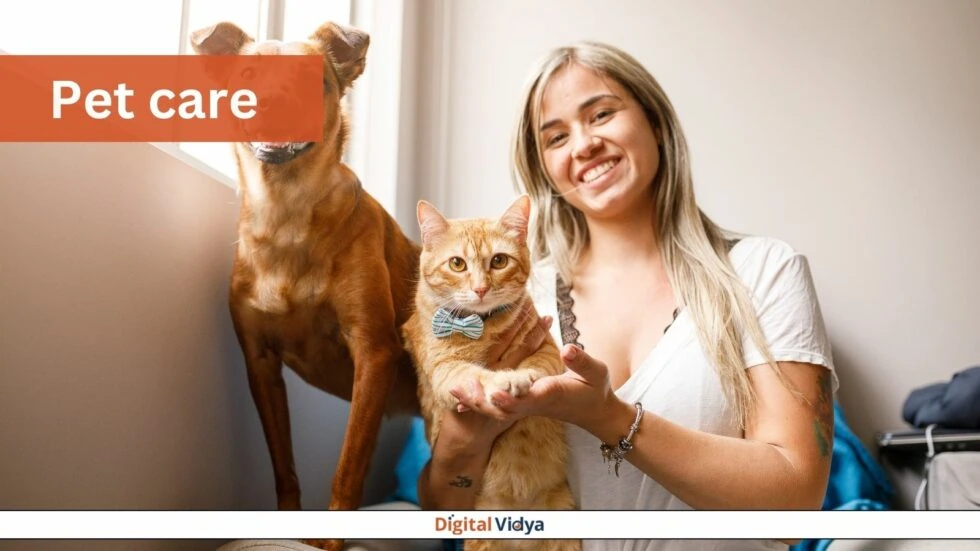 Pet Care Service Pet care service in delhi