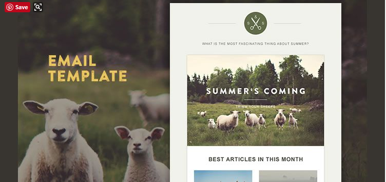 15 Email Campaign Templates You Have Ever Seen Email campaign templates